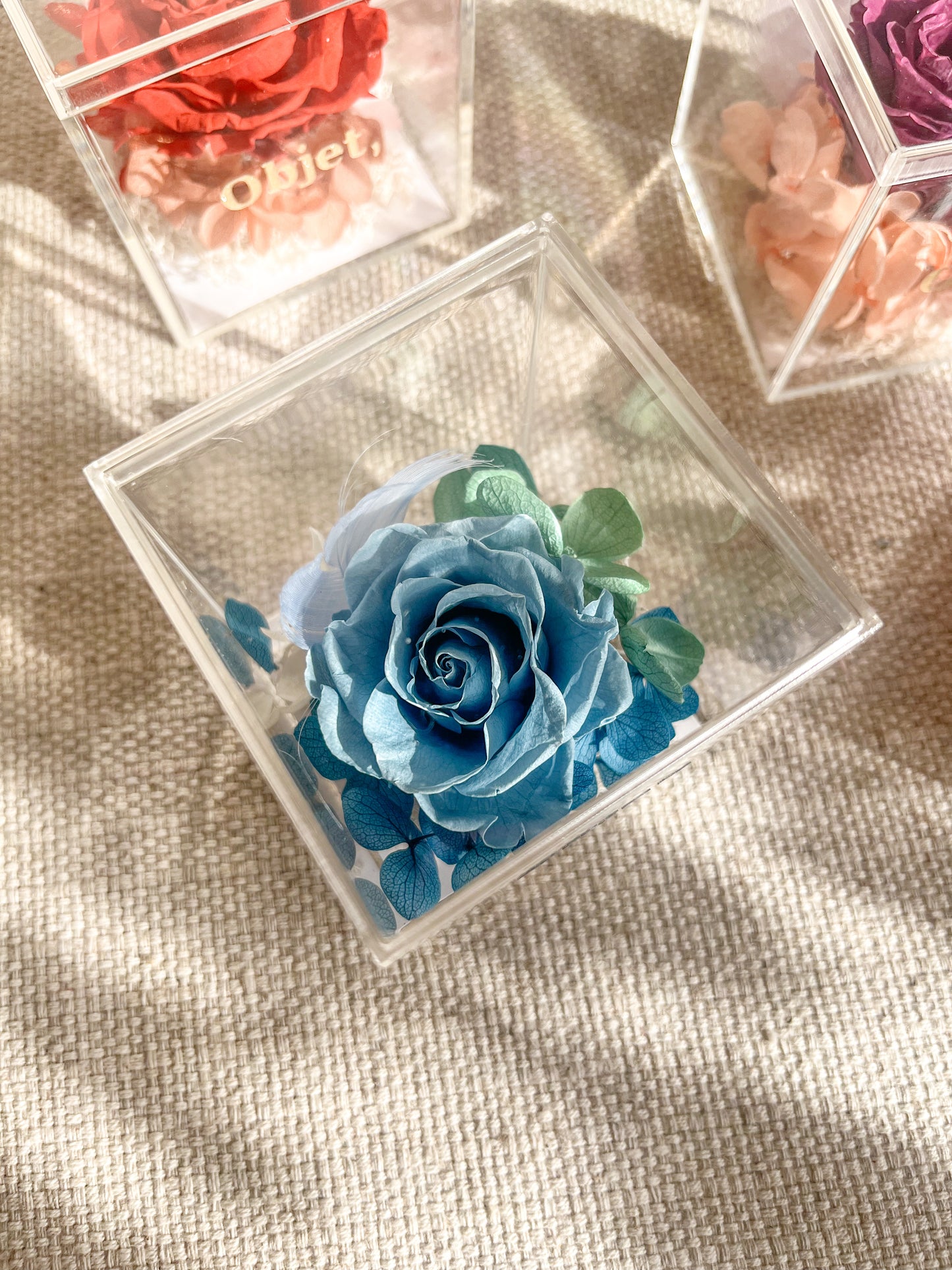 Eternal Rose Box -  Chromatic Cube