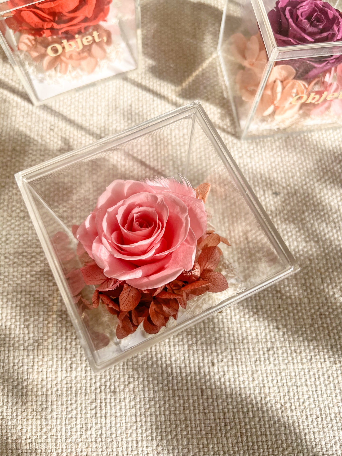 Eternal Rose Box -  Chromatic Cube