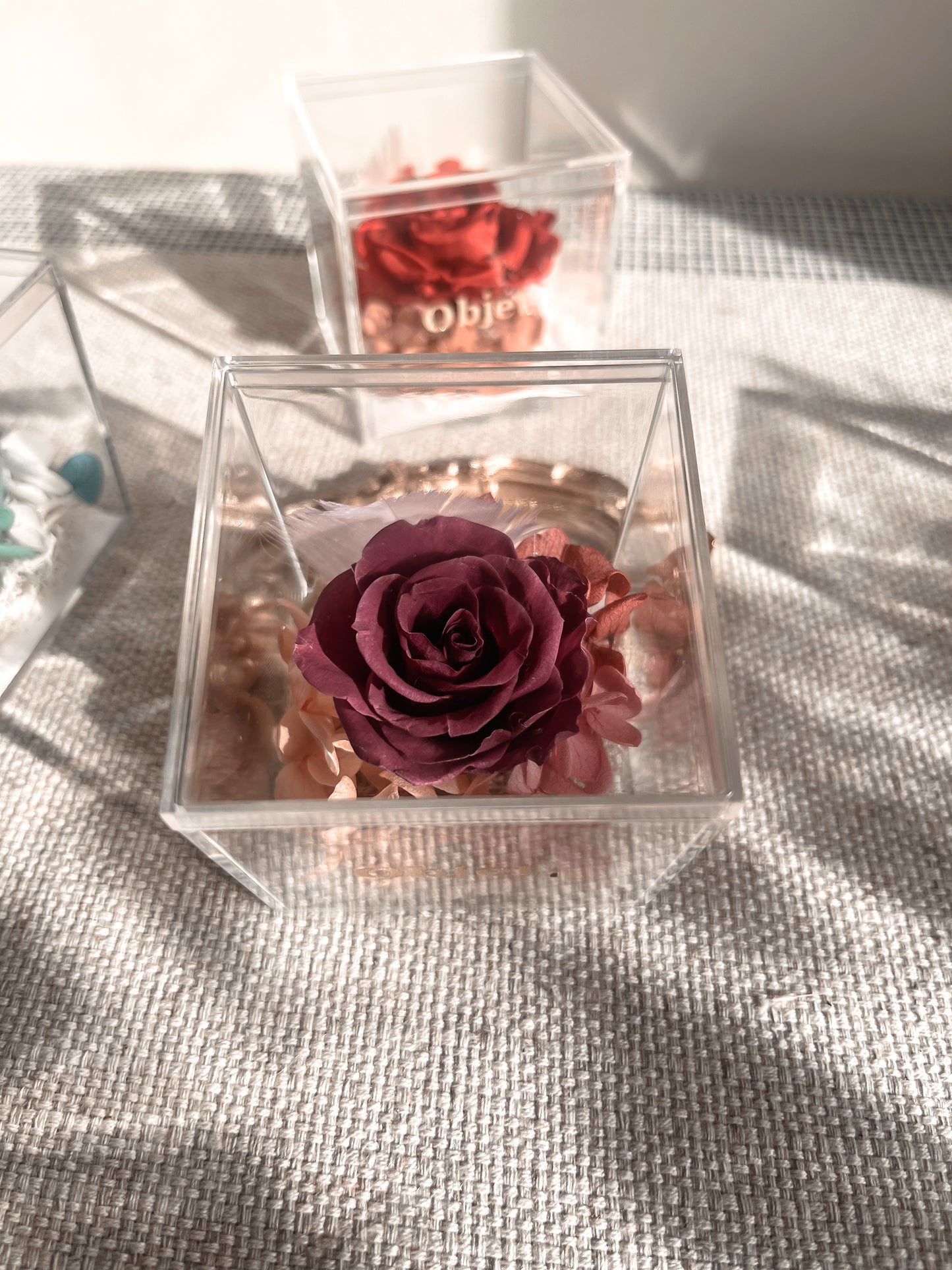 Eternal Rose Box -  Chromatic Cube