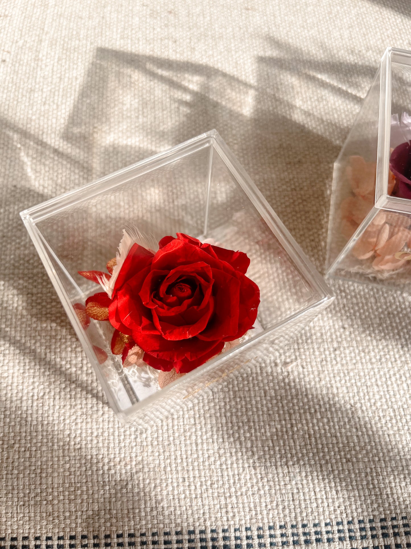 Eternal Rose Box -  Chromatic Cube