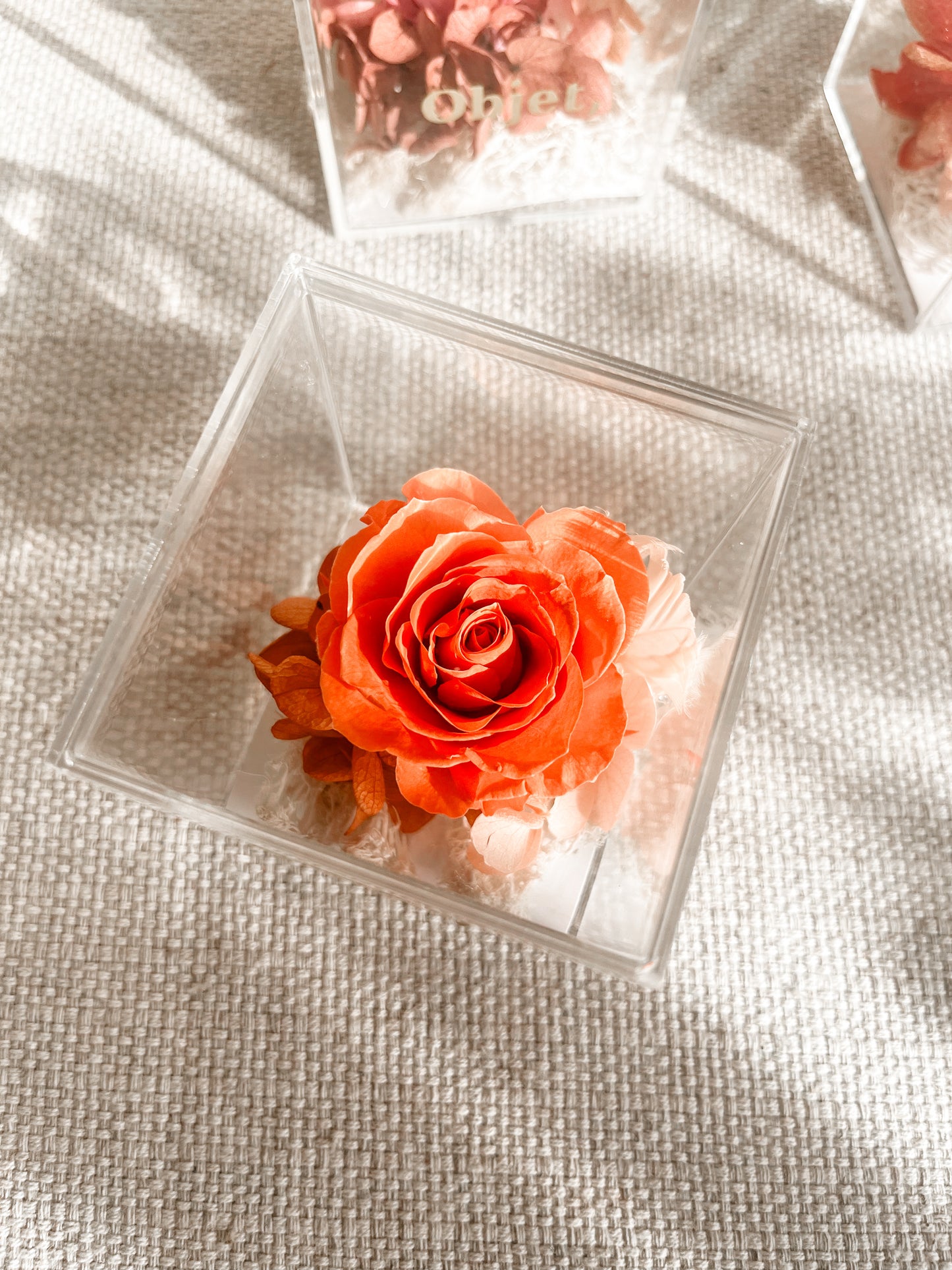 Eternal Rose Box -  Chromatic Cube
