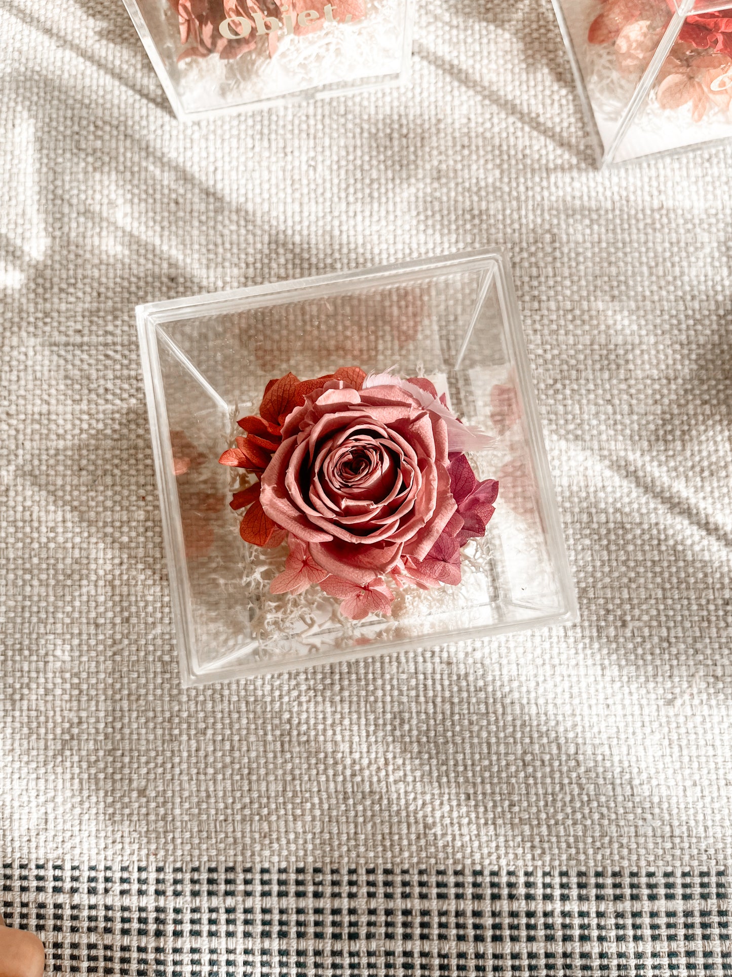 Eternal Rose Box -  Chromatic Cube